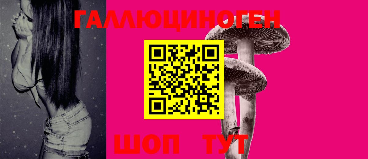 Галлюциногенные грибы прущие грибы  Вход с VPN  Алатырь 