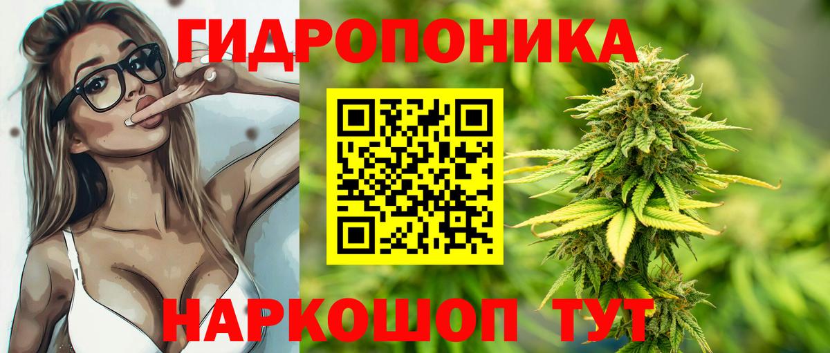 Каннабис план  Вход с VPN  Конопля Amnesia  Алатырь  Бошки марихуана сатива 